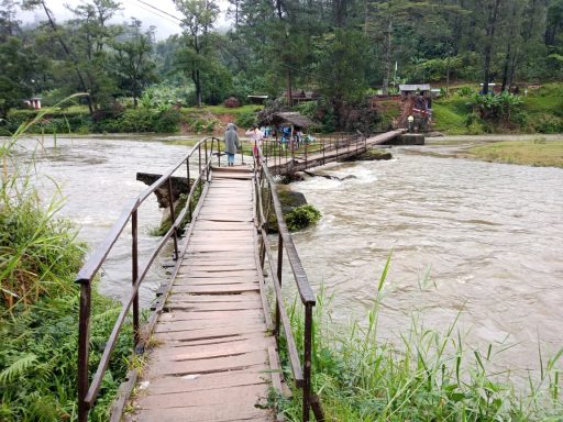 Pont en bois rustique traversant une rivière, entouré d'une nature verdoyante.